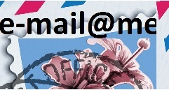 E-Mail